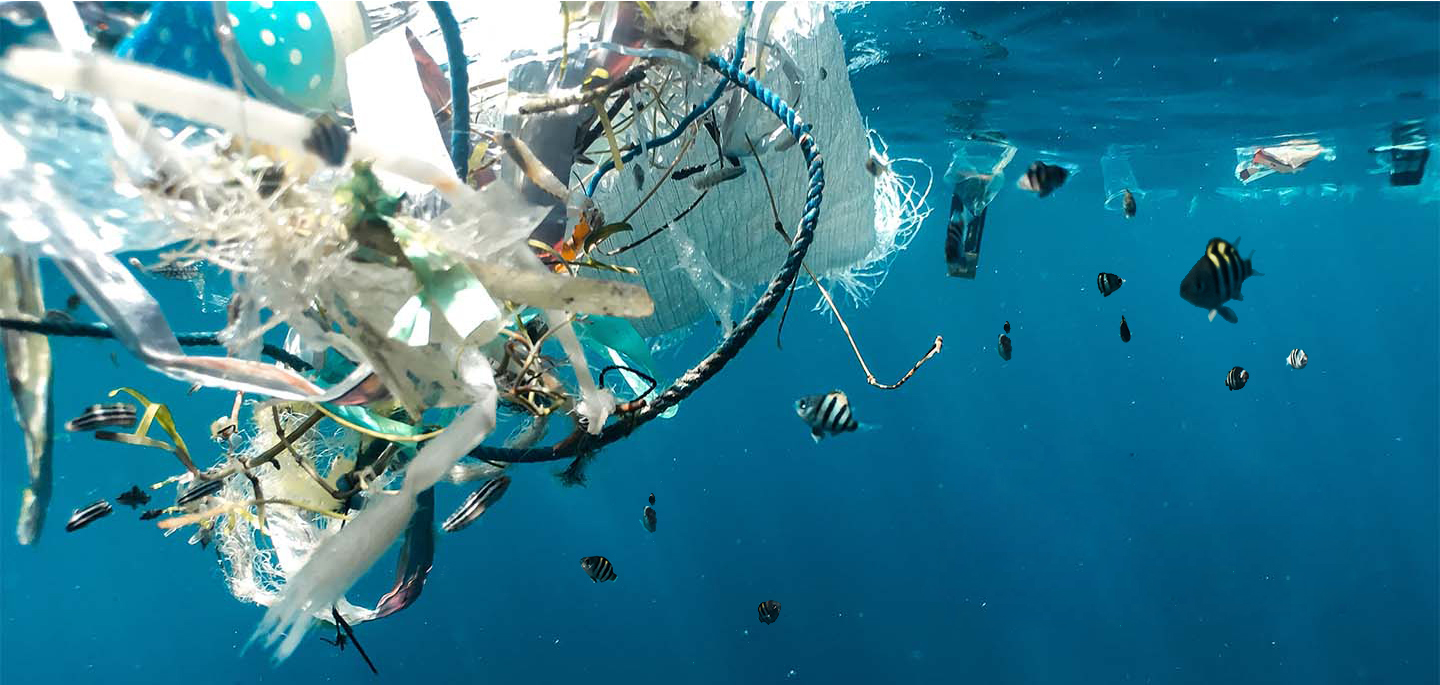 Marine Plastic Pollution